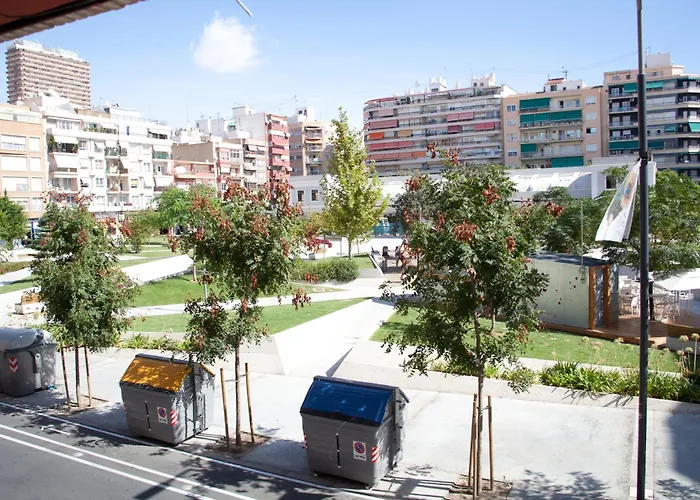 Color Suites Alicante